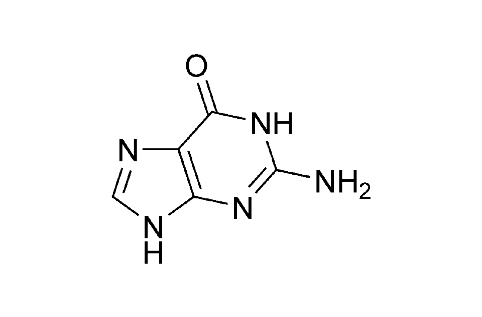 鳥嘌呤(2-氨基-6-羥基嘌呤)