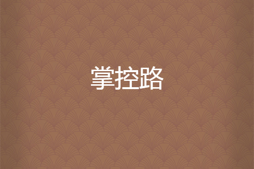 掌控路 掌控路