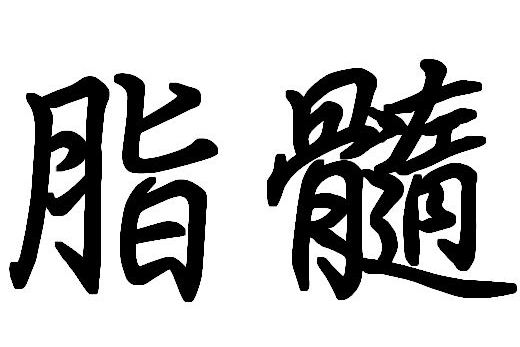 脂髓 脂髓