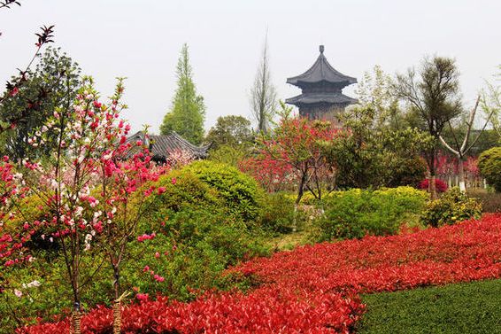 鳳城桃園 鳳城桃園