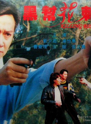 劉少君(香港電影演員)