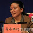 普布卓瑪(西藏自治區人民代表大會常務委員會委員)