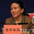 普布卓瑪(西藏自治區人民代表大會常務委員會委員) 普布卓瑪(西藏自治區人民代表大會常務委員會委員)