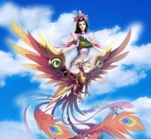 花翎鳥 花翎鳥