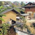 新羅村(山東省日照市下轄村) 新羅村(山東省日照市下轄村)