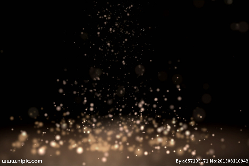 particulate particulate