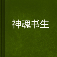 神魂書生 神魂書生