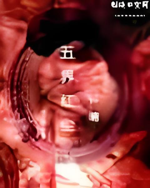 五界紅塵 五界紅塵