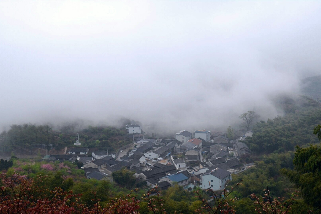 東姜坑村 東姜坑村