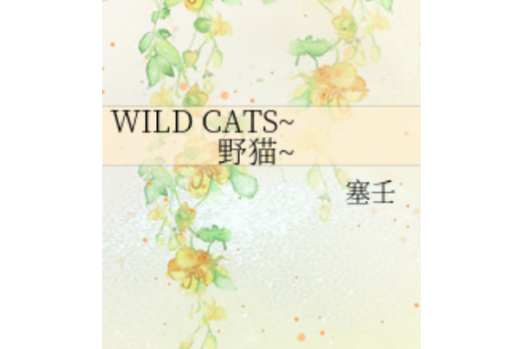 WILD CATS~野貓~ WILD CATS~野貓~