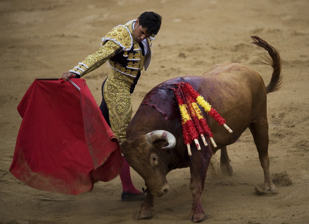 西班牙鬥牛節