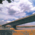 三灘黃河公路大橋