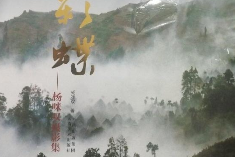 紅河彩蝶 紅河彩蝶