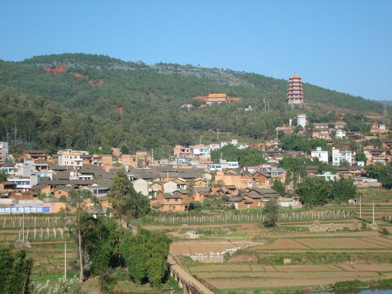 大麥壠村 大麥壠村