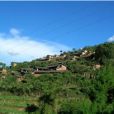 麥廠村 麥廠村