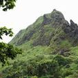 犀牛山 犀牛山