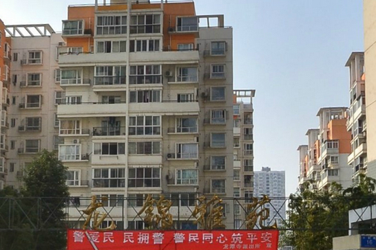 龍領雅苑 龍領雅苑