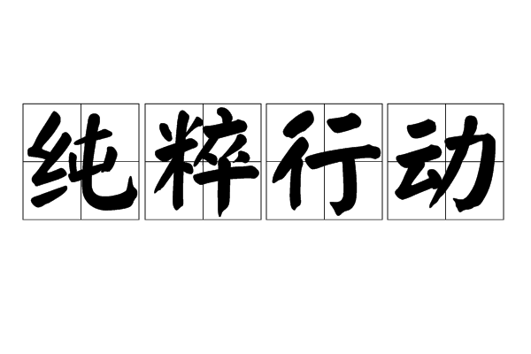 純粹行動