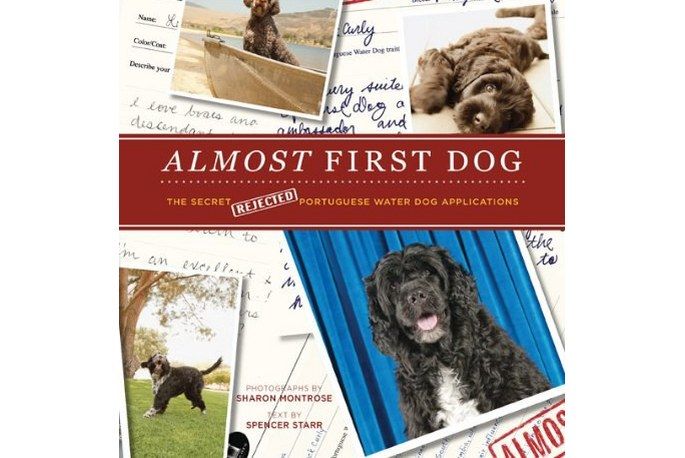 Almost First Dog Almost First Dog