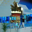 HJ-1C衛星 HJ-1C衛星