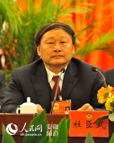 杜臣武 杜臣武