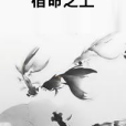 宿命之上 宿命之上