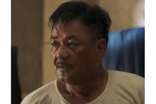 李大有(脫貧攻堅劇《山海情》人物) 李大有(脫貧攻堅劇《山海情》人物)