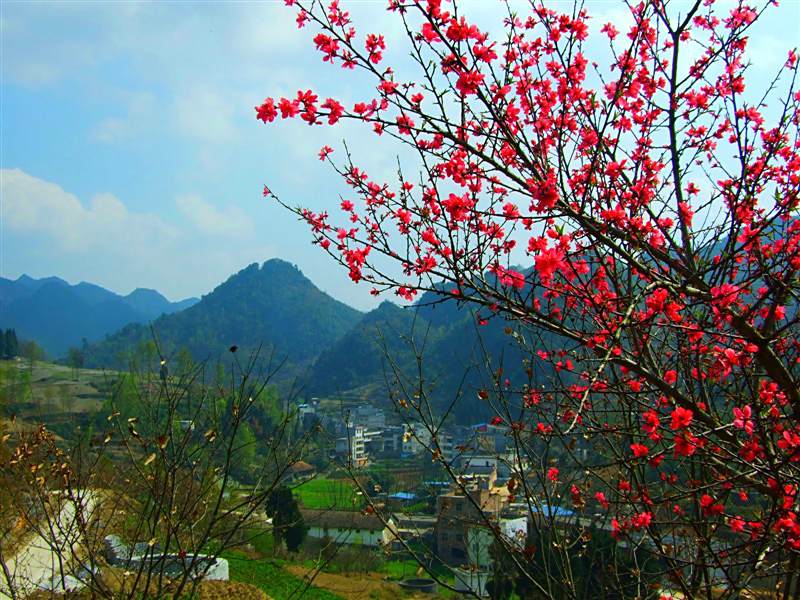 磨賢村 磨賢村
