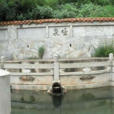 四眼毒泉 四眼毒泉