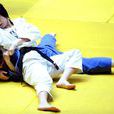 金美花(中國女子柔道隊運動員) 金美花(中國女子柔道隊運動員)