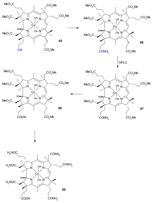 維生素B12AD、BC環偶聯（三）