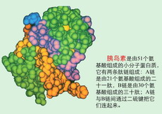 美替拉酮