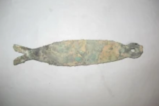 魚幣 魚幣