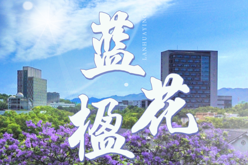 藍花楹(單曲) 藍花楹(單曲)