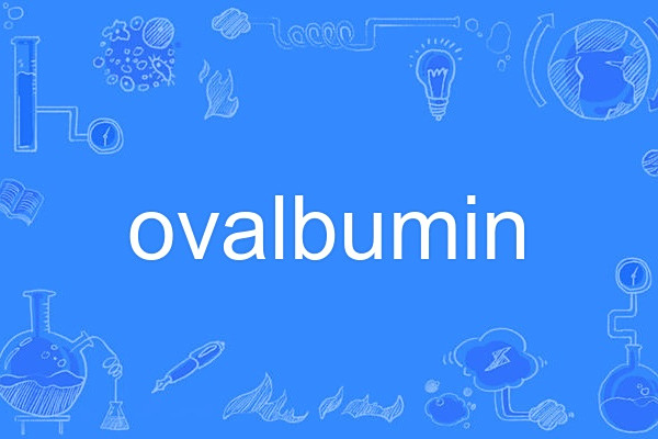 ovalbumin ovalbumin