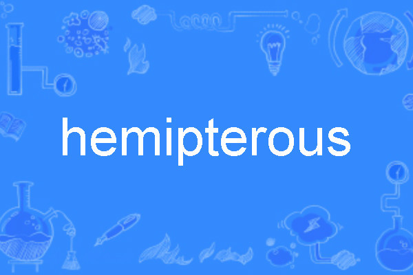 hemipterous hemipterous