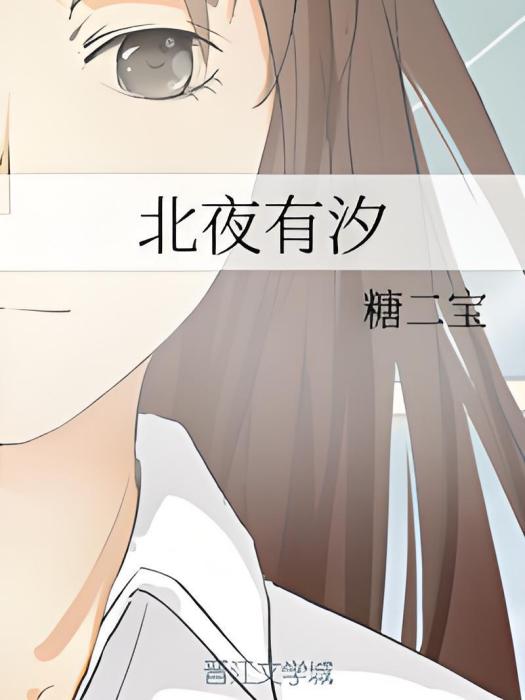 北夜有汐 北夜有汐