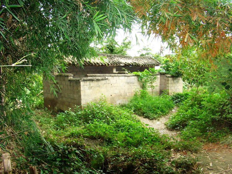 頓東村 頓東村