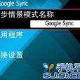 Google Sync