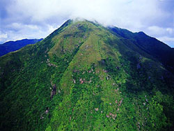 大東山