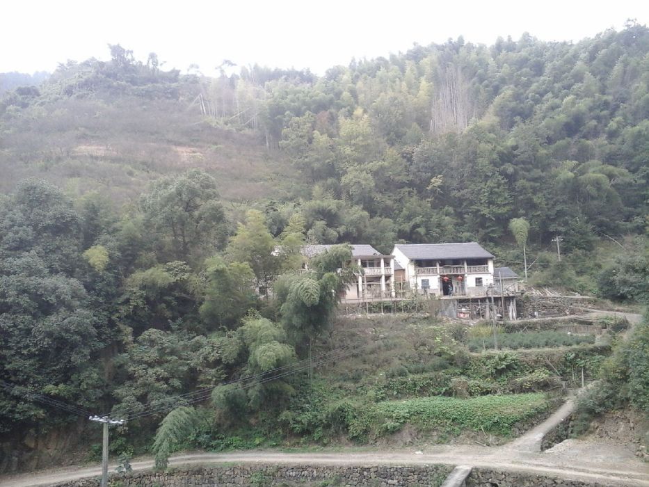 牛頭嶺古道 牛頭嶺古道