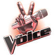 美國之聲(The Voice（選秀節目）)
