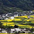 長灘古村 長灘古村