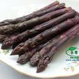 紫蘆筍 紫蘆筍
