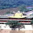 大埔王爺廟 大埔王爺廟