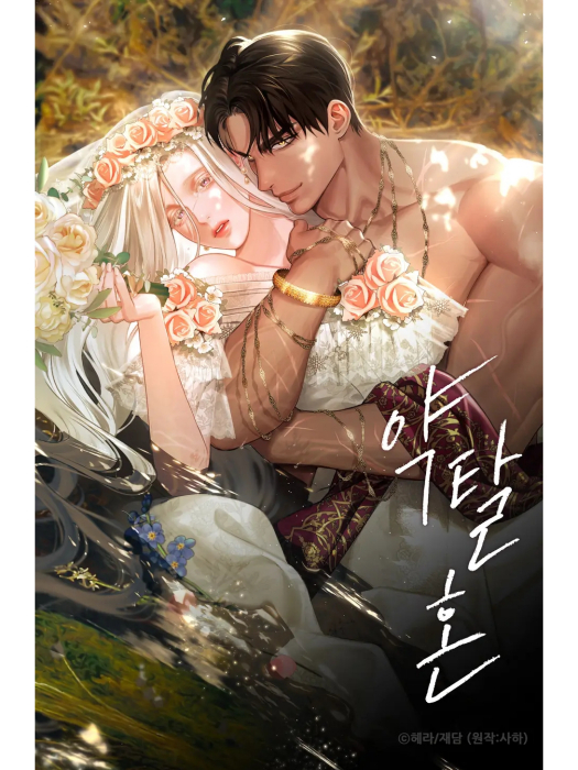 掠奪婚姻 掠奪婚姻