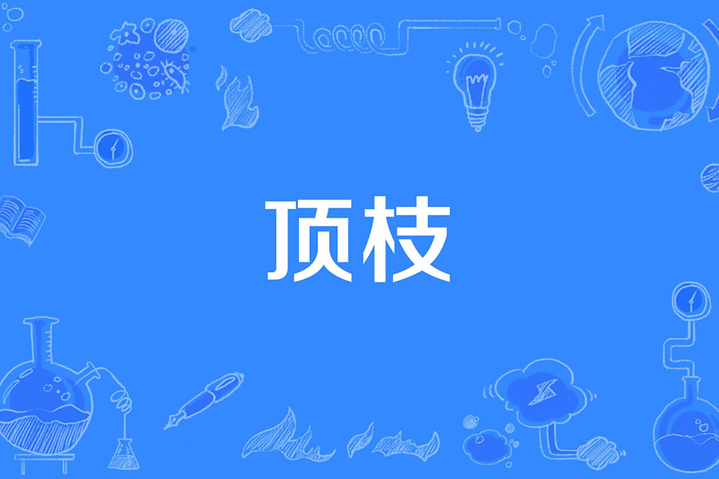 頂枝