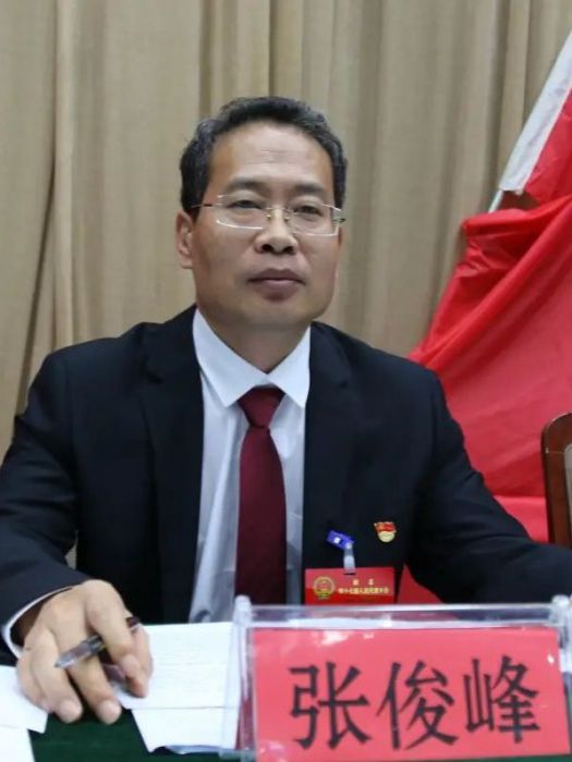 張俊峰(河北省滄州市獻縣人民政府副縣長、公安局黨委書記、局長(二級高級警長)) 張俊峰(河北省滄州市獻縣人民政府副縣長、公安局黨委書記、局長(二級高級警長))