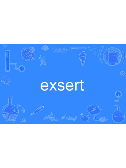 exsert exsert