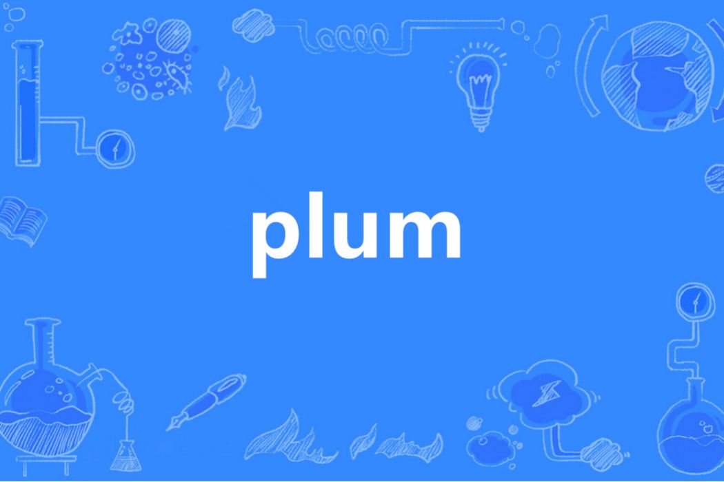 plum(英語單詞)